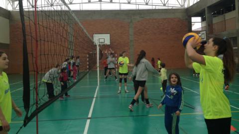 Federação Portuguesa de Voleibol - Notícias